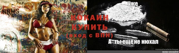 прущие крисы Касимов