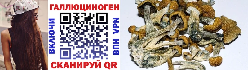 Галлюциногенные грибы MAGIC MUSHROOMS  Купить где  Пересвет 